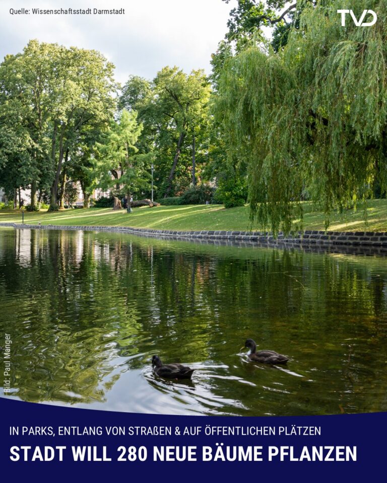Stadt will 280 neue Bäume pflanzen