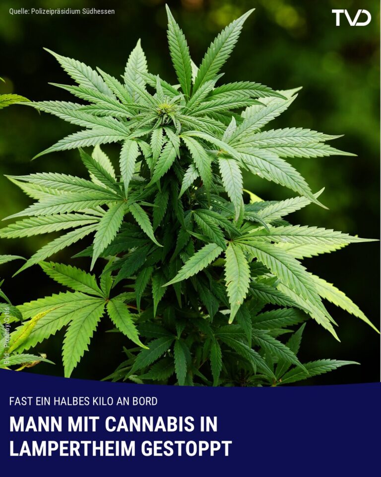 Polizei stoppt Mann mit halbem Kilo Cannabis in Lampertheim