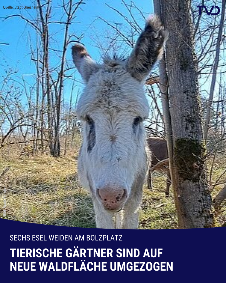 Tierische Gärtner in Griesheim ziehen um