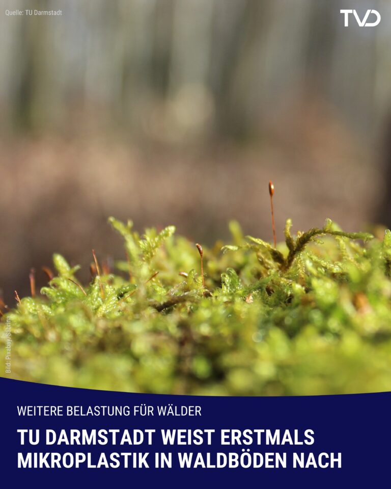 TU Darmstadt-Forscher weisen erstmals Mikroplastik in Waldböden nach